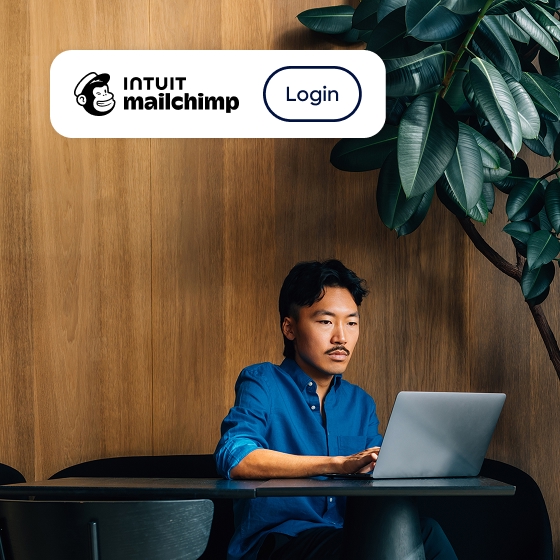 Lawyer logging into Mailchimp
